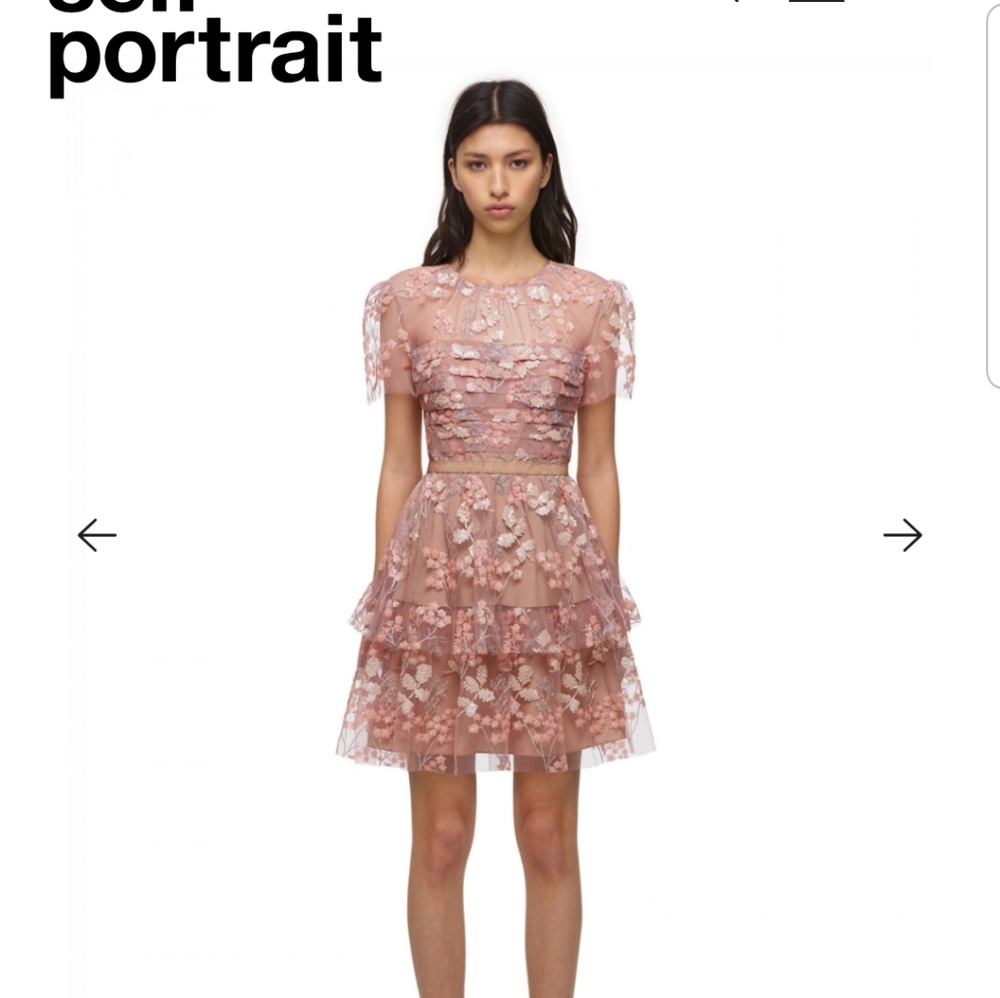 BNWT Self-Potrait Flower Mesh Tiered Mini Dress 6